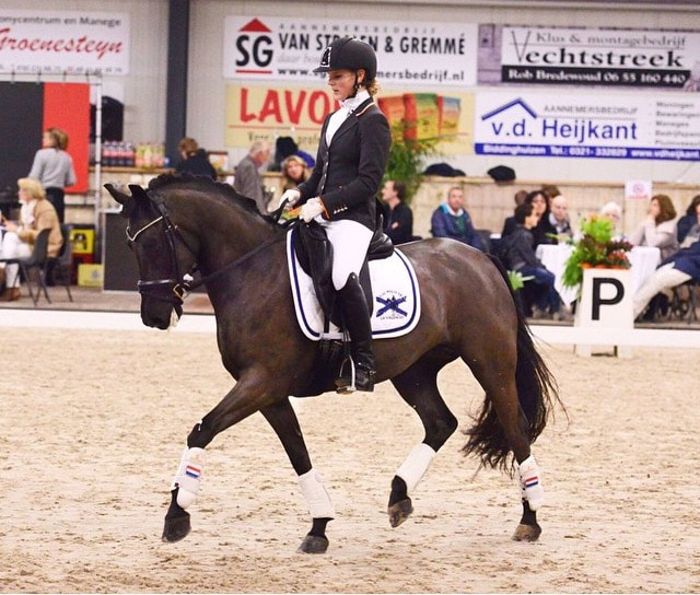 Hof Ter Eekter's Jinx